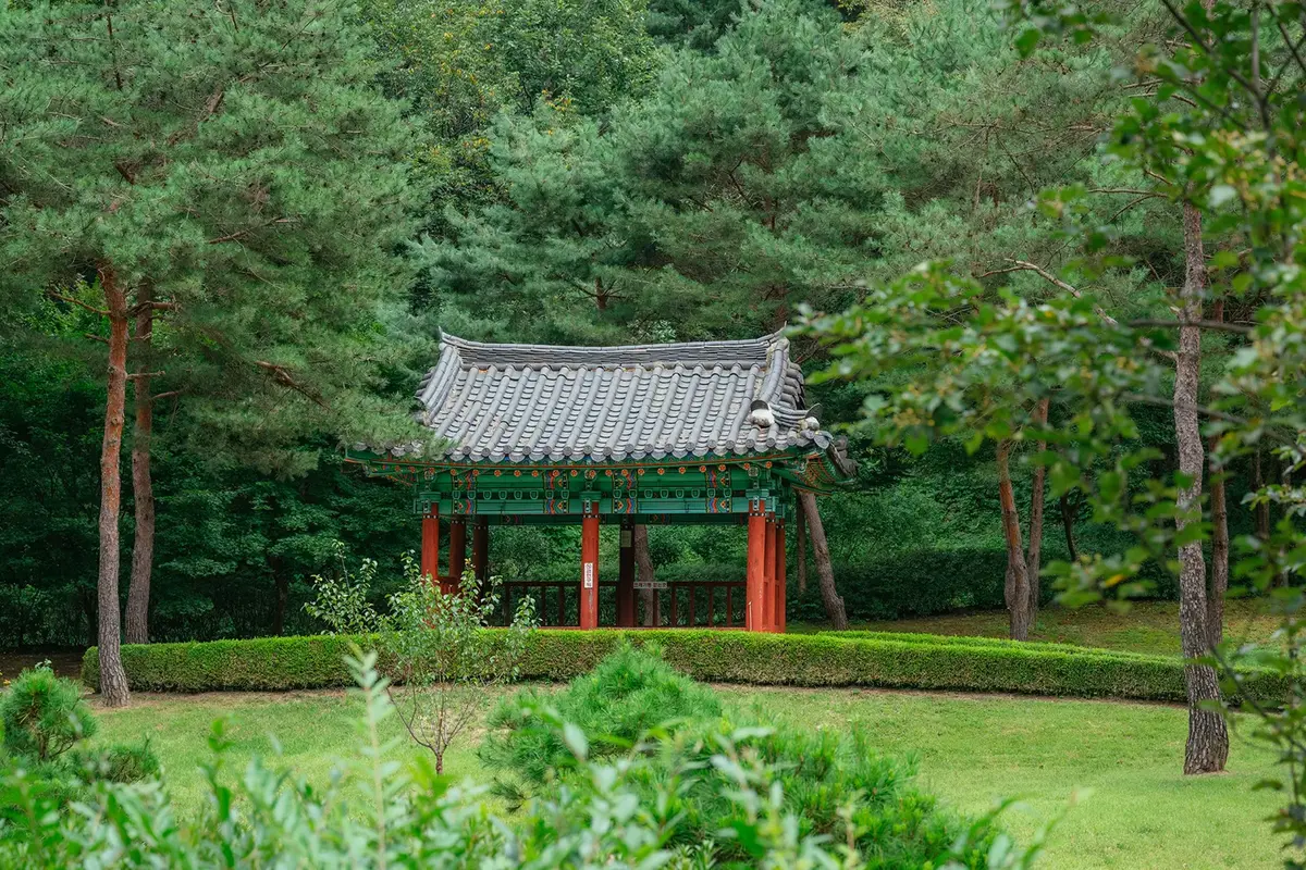 孔雀山生態林